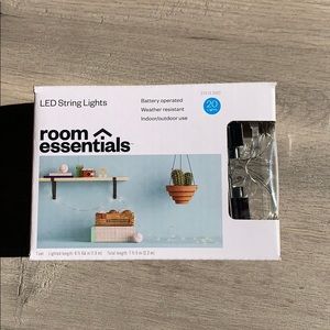 LED Cactus String Lights